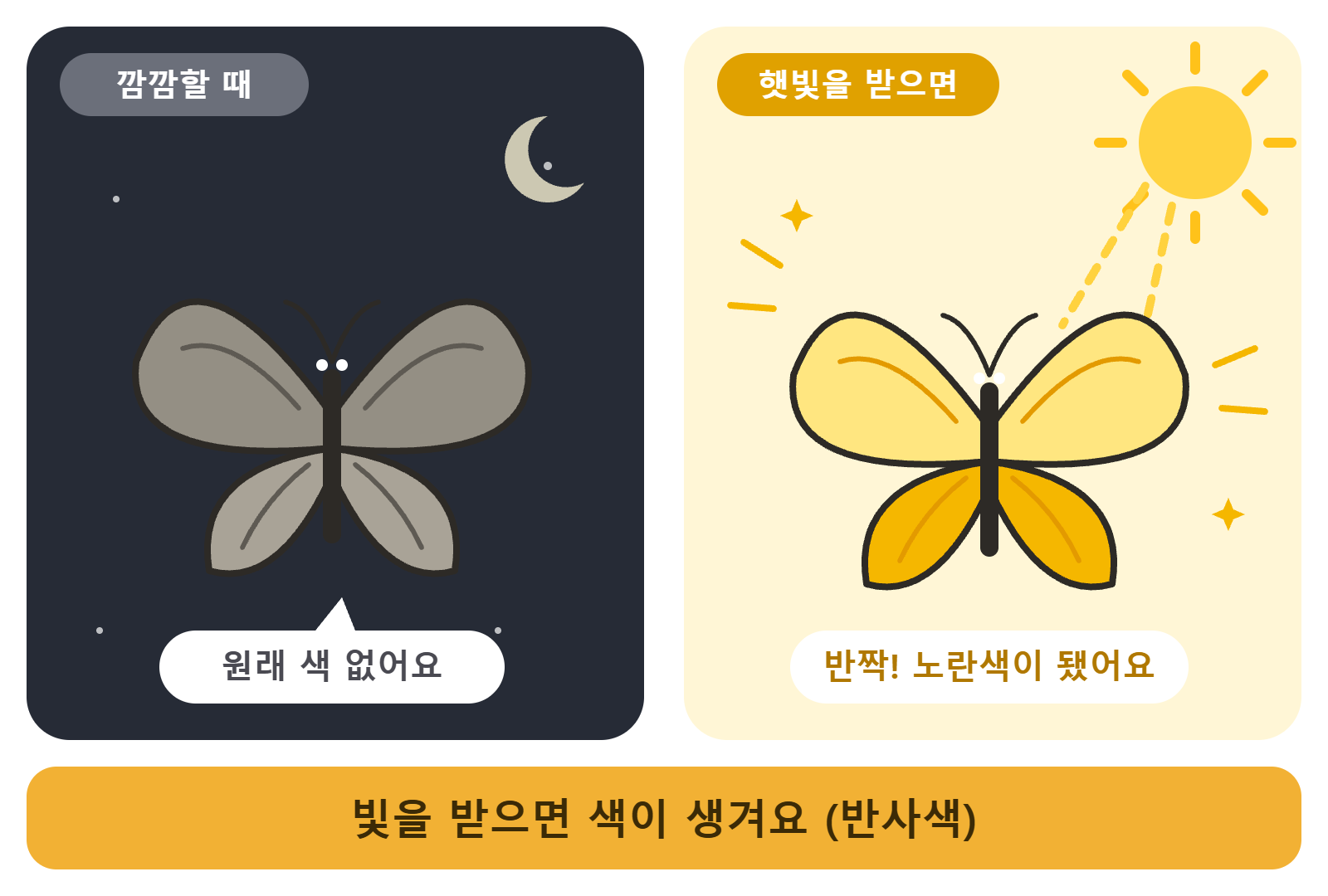 깜깜할 때는 칙칙하다가 햇빛을 받으면 노랗게 빛나는 나비 날개(반사색)