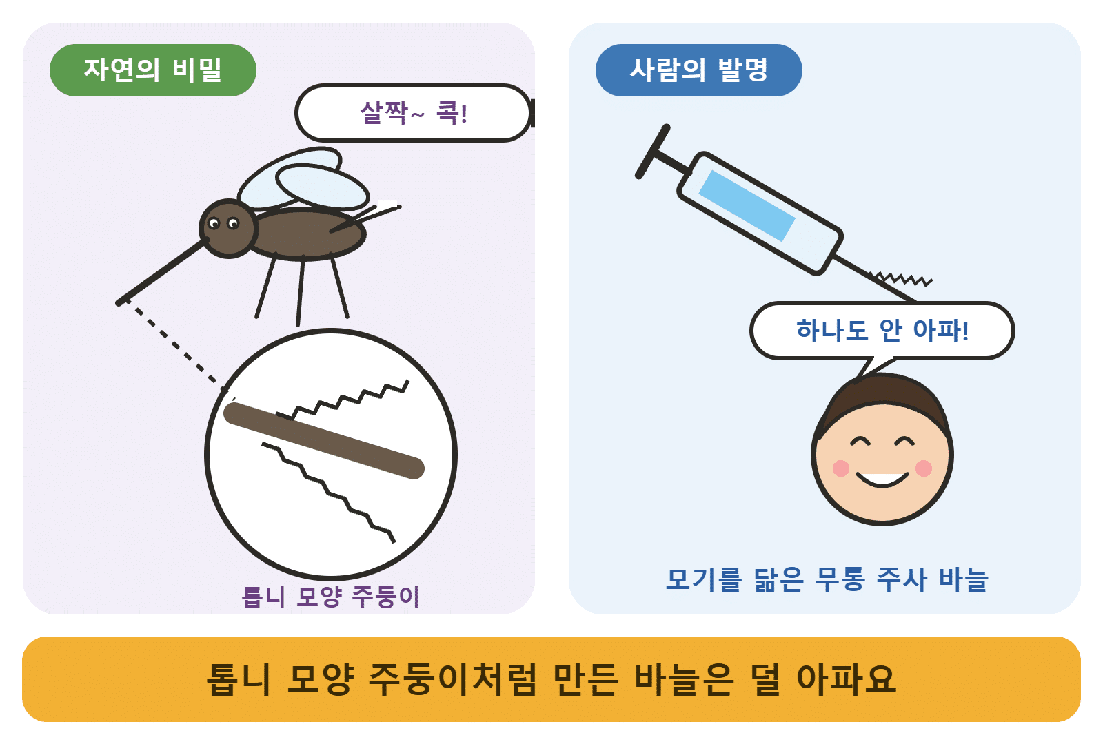 모기의 톱니 모양 주둥이와 무통 주사 바늘